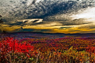 Landscapes