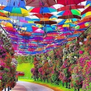 umbrella