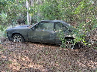 Forgotten Mustang