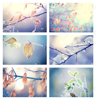nature collage