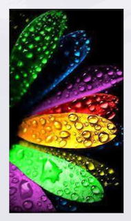 Neon Colored Flower. Puzzle with frame.