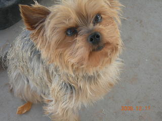 Right after bath mess maker