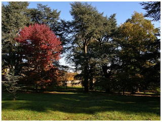 Arboretum8