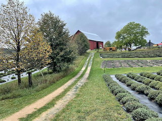 Rural landscape photo Carrie Lawless-Dowdy
