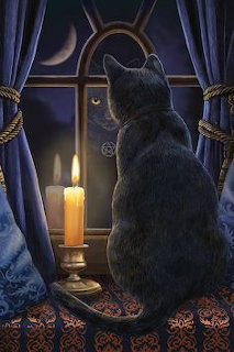 Black cat looking out the with window with candle