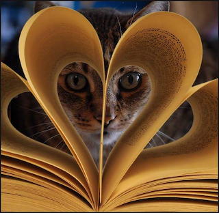 Bookworm