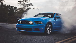 Mustang 5.0