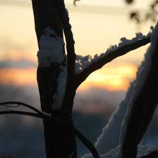 Ashland