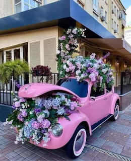 GARDEN VW