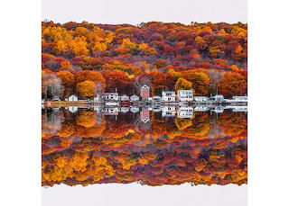 Reflection