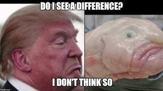 100% in the mouth!💩! <