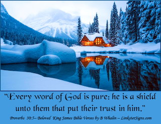 Proverbs 30:5, KJB