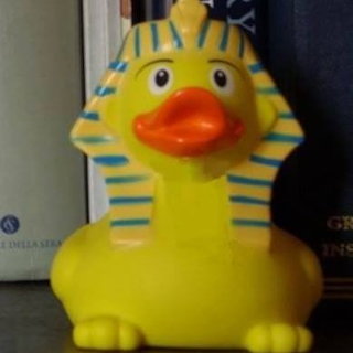 DjedMedu