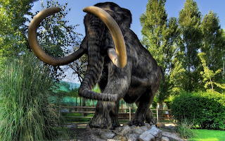 mamut