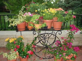 Flowery langscape