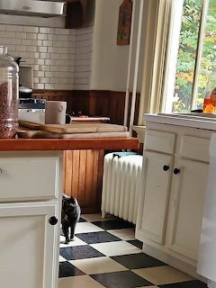 Princess Amber Exploring the Kitchen
