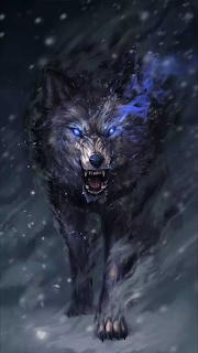 Lobo