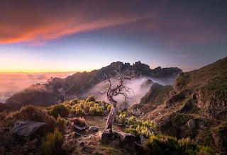 Madeira