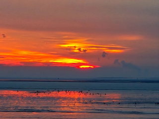 Zonsopkomst boven westerschelde