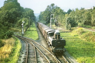 Tr16