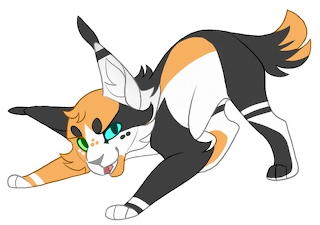 Cats
