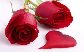 roses