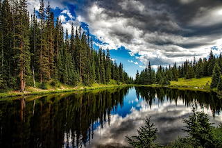 Lake