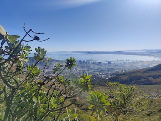 Cape Town