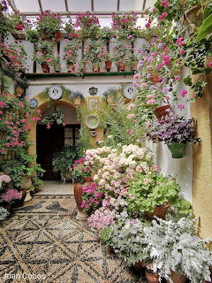 Patio sevillano Andalucía españa