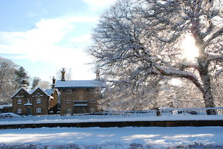 Snow11