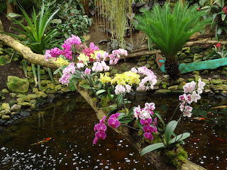 Orchideeenhoeve