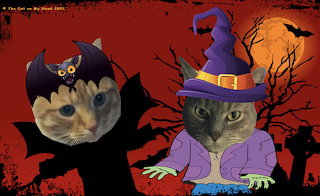 Halloween Cats