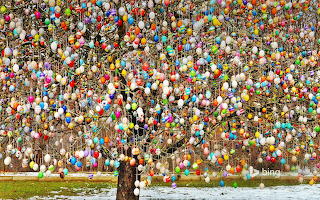 A osterbaum (Easter tree) in Saalfeld. Germany by Volker Kraft