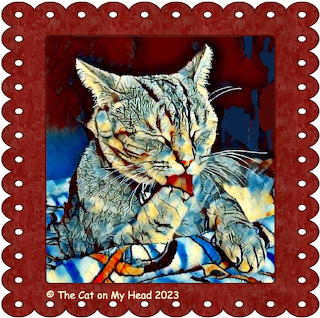 Bathing Torbie Cat Art