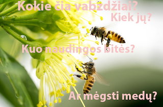 Bites-diena