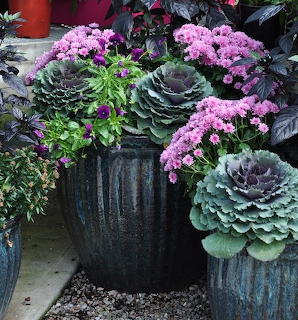 Fall flowers