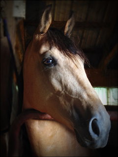 Missy Picture