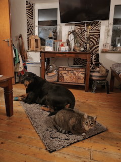 IMG 20241224 222554825