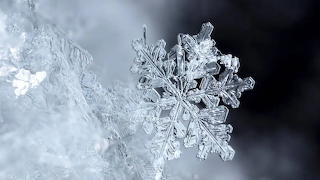 Snowflake