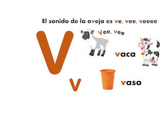 Imagen25