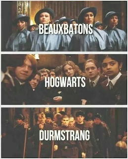 Triwizard Tournament Schools