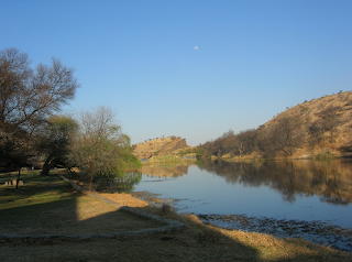 Dan viljoen