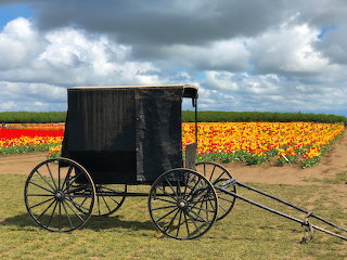 In Yoder, Oregon.