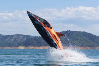Is it a Bird, is it a Plane… No, It's a Shark Boat
