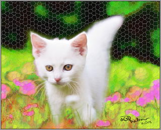 Aar kitten d2h3e 1.0.-2