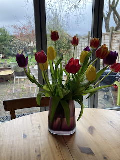 Tulips