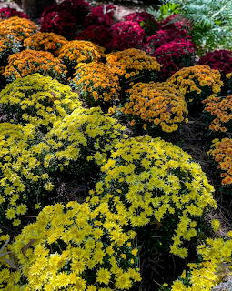 Garven Gardens.6
