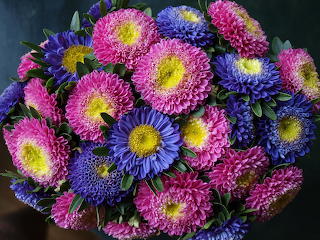 Flowers-1