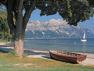 Summer Landscape by the Lake