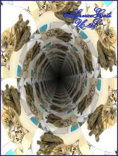 Zebby Tunnel Effect Framed 1